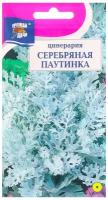 Семена Урожай удачи Цинерария серебряная паутинка 0,1 г