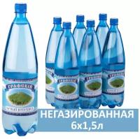 Ледниковая вода Графский горный источник МВЖ природная питьевая 6шт по 1,5л ПЭТ