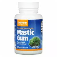 Jarrow Formulas, Mastic Gum, мастиковая смола, 60 растительных капсул