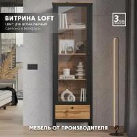 Шкаф БРВ-мебель ШхВхГ: 62х193х39 Loft REG1W1S