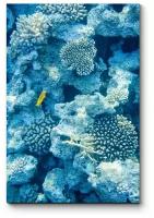 Модульная картина Коралловые рифы 30x45