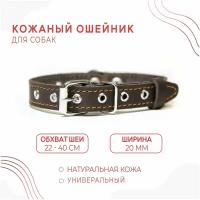 Кожаный ошейник (ширина 20 мм.) универсальный для щенков средних пород и маленьких собак (22-40 см.)