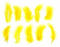 Набор перьев для декора 10 шт., размер 1 шт: 10 × 2 см, цвет жёлтый ТероПром 1250950