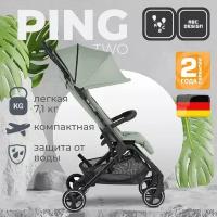 Коляска прогулочная ABC-Design Ping Two Pine с дождевиком и москитной сеткой