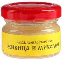 Мазь «Монастырская Живица с Мухомором». Ранозаживляющая. Стекло. 28 мл