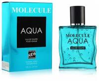 XXI CENTURY Туалетная вода мужская Molecule Aqua, 100 мл