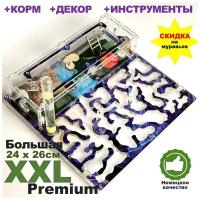 Большая муравьиная ферма XXL Premium 24*26см Полный комплект Вихрь