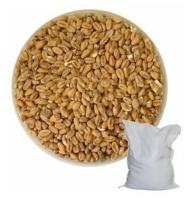 Пшеничный солод Soufflet, 8 кг