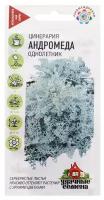 Семена цинерарии приморской Удачные семена Андромеда 0,1 г