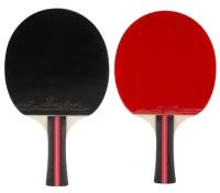 Ракетка для настольного тенниса Победитъ PPR-A для игры в пинг-понг