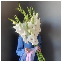 Букет Гладиолусы белые, красивый букет цветов, шикарный, цветы премиум