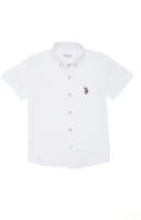 Рубашка U.S. POLO ASSN., размер 9-10 (134-140), белый