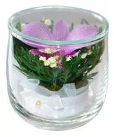 Стабилизированные Цветы в стекле Композиция из натуральной орхидеи, невянущие, живые цветы в вакууме, в колбе, подарок женщине