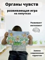 Развивающая игра на липучках органы чувств для детей