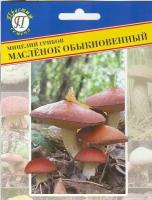 Масленок обыкновенный (мицелий грибов). Один из наиболее популярных съедобных грибов. Используется в супах, жареным, солёным, маринованным. 50 мл