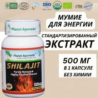 Шиладжит экстракт Shilajit Мумие против старения и усталости, для здоровых суставов и сосудов, повышает либидо, омоложение, 500 мг 60 капсул