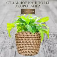 Кашпо из ротанга, горшок для цветов, 12 литров