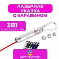 Лазерная указка с карабином 3в1 для кошек и собак