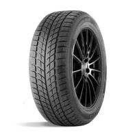 Автошина Даблстар DW09 315/35 R20 106T