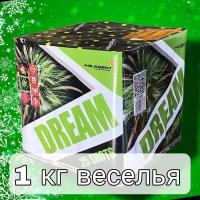 Салют Фейерверк GP498 Мечта / Dream (0,8