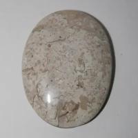 Ракушечник кабошон «True Stones»