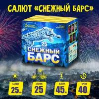 Батарея салютов Р7491 Снежный Барс (1