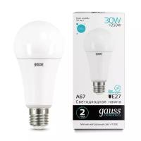 Лампа Gauss Elementary A67 30W 2360lm 4100K E27 LED