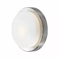 Настенно-потолочный светильник Holger 2746/1C Odeon Light