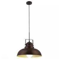 Подвесной светильник Arte Lamp MARTIN A5213SP-1BR