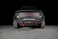 Решетка радиатора BMS RAPTOR для Форд Ф-150 Раптор 2009-2014