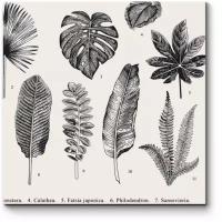Модульная картина Picsis Гербарий из экзотических растений (20x20)