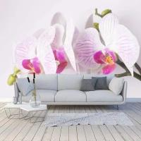 Фотообои Розовая орхидея красивая 275x413 (ВхШ), бесшовные, флизелиновые, MasterFresok арт 10-165
