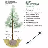 Анкер для дерева грунтовой 85см