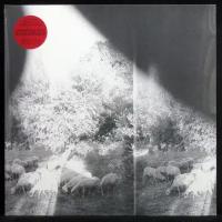 Виниловая пластинка Constellation Godspeed You Black Emperor! – Asunder, Sweet And Other Distress (+ poster)