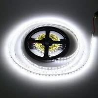 Светодиодная лента: 2835-120LED-IP33-24V 5м. - Цвет свечения:Белый холодный 6000К