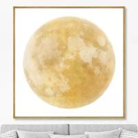 Репродукция картины на холсте Full lunar view, on a white. Размер картины: 105х105см