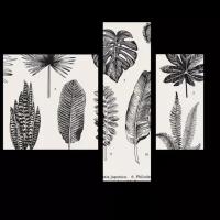 Модульная картина Picsis Гербарий из экзотических растений (80x66)