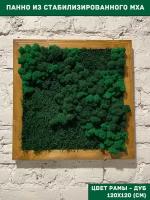 Квадратное панно из стабилизированно мха GardenGo в рамке цвета дуб, 120х120см, цвет мха зеленый