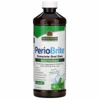 Nature's Answer, PerioBrite, натуральный ополаскиватель для полости рта, прохладная мята, 480 мл (16 жидк. унций)