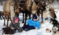 Семейный отдых с катанием на оленьих или собачьих упряжках+шашлык в будни (Московская область)
