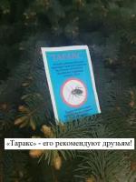 Таракс - средство от мокриц, от тараканов, от двухвосток. Эффективный препарат для уничтожения бытовых насекомых - муравьёв, клопов, термитов