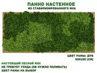 Панно из стабилизированно мха GardenGo в рамке цвета дуб, 50х100 см, цвет мха зеленый