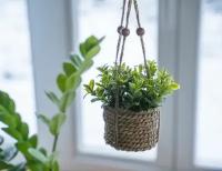 Искусственное растение COZY GREENS в подвесном джутовом кашпо, пластик, 8х12 см, Kaemingk