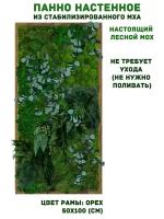 Панно из стабилизированно мха GardenGo в рамке цвета орех, 50х100 см, цвет мха зеленый