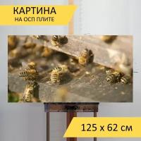 Картина на ОСП 