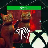 Игра Stray для Xbox, Русские субтитры, электронный ключ