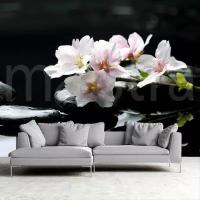 Фотообои Цветок белой орхидеи и камни 275x415 (ВхШ), бесшовные, флизелиновые, MasterFresok арт 4-017