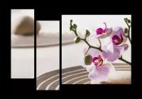 Модульная картина на холсте | Diva Kartina | Фен-шуй и Спа. Орхидея на песке | 100X70 см