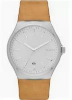 Часы мужские Skagen SKW6261