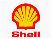 SHELL 550040555 Масо